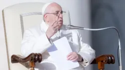 Le pape François s'exprimant lors de l'audience générale sur la place Saint-Pierre au Vatican, le 30 novembre 2022 | Daniel Ibáñez / CNA / 