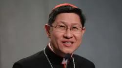 Cardinal Luis Tagle. / Daniel Ibanez/CNA.