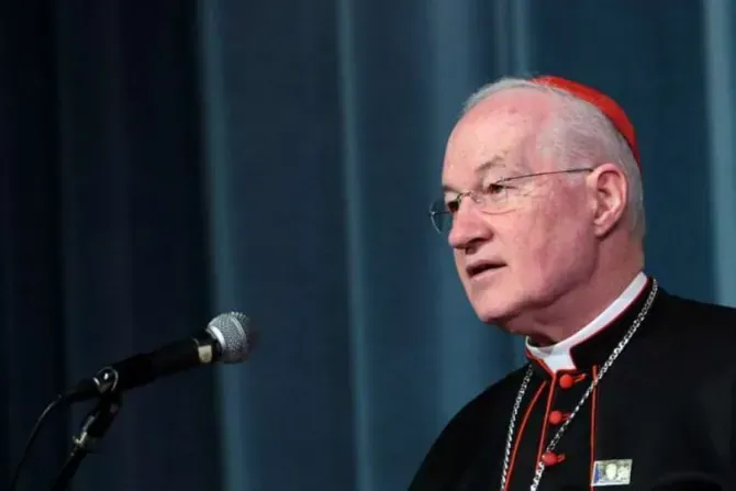 Le cardinal Marc Ouellet, préfet de la Congrégation pour les évêques. | Franco Origlio/Getty Images News.