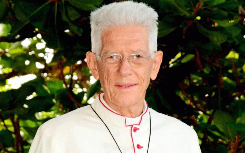 Maurice Cardinal Piat des Diocèses de Port Louis, Maurice Domaine public