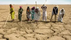 La sécheresse sévit en Afrique de l'Est depuis plus de cinq ans. Crédit : Caritas Internationalis / 