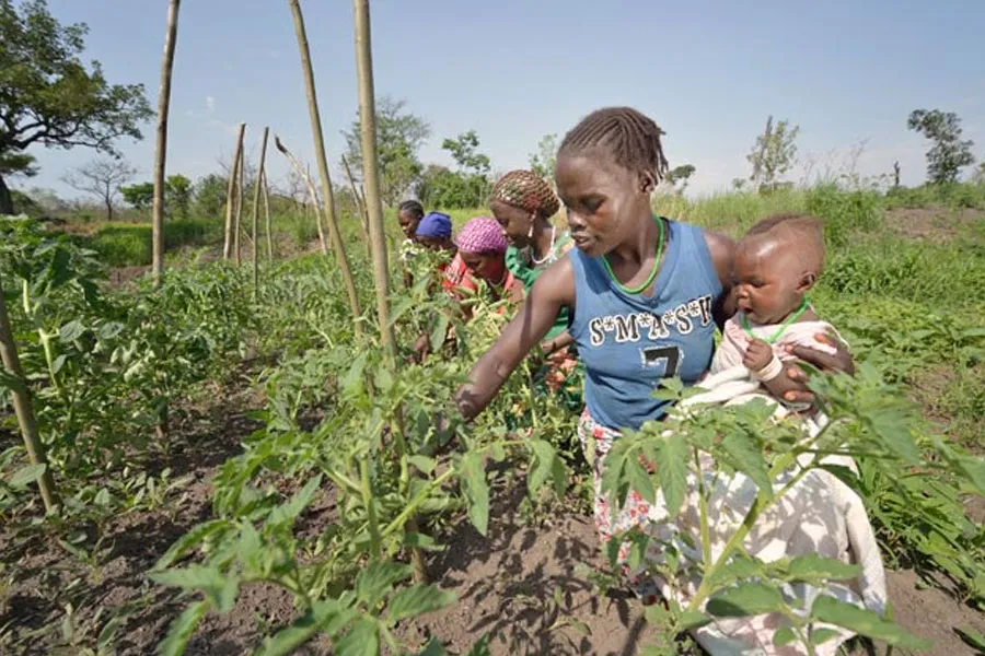 Agriculteurs locaux dans le comté de Yei au Soudan du Sud. Crédit : Caritas Soudan du Sud