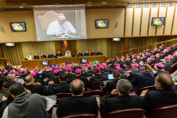 L'ouverture du synode amazonien à la salle du synode du Vatican, le 7 octobre 2019./ Daniel Ibáñez/CNA.
