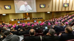 L'ouverture du synode amazonien à la salle du synode du Vatican, le 7 octobre 2019./ Daniel Ibáñez/CNA. / 