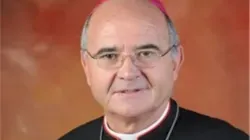 Mgr Stephen Brislin, archevêque du Cap en Afrique du Sud, l'un des trois Africains nommés cardinaux le dimanche 9 juillet. Crédit : SACBC / 