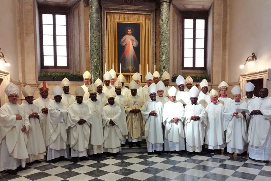 Les membres de la Conférence des évêques catholiques d'Afrique australe (SACBC). Crédit : SACBC