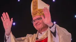 Mgr Stephen Brislin, archevêque de l'archidiocèse catholique du Cap, en Afrique du Sud. Crédit : SACBC / 