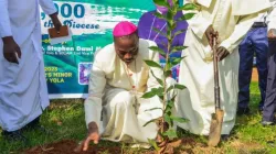 Mgr Stephen Dami Mamza lors du lancement de la campagne de l'arbre de la révolution verte dans le diocèse de Yola. Crédit : Diocèse de Yola / 