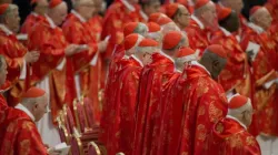 Le Collège des cardinaux célèbre la messe le 12 mars 2013, avant d'entrer dans la Chapelle Sixtine pour le conclave papal. | Crédit photo : Jeffrey Bruno/CNA / 