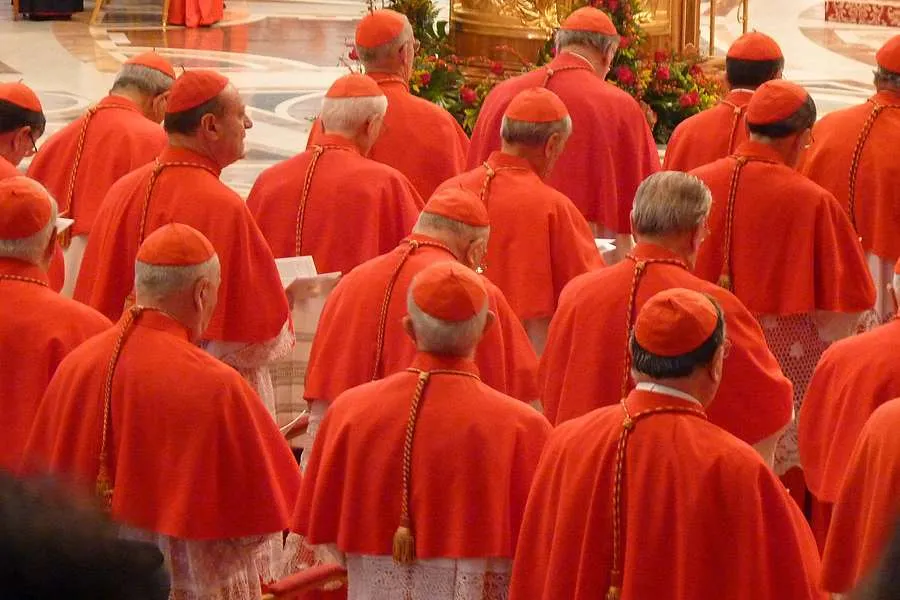 Les cardinaux réunis dans la basilique Saint-Pierre pour un consistoire, le 4 novembre 2012. Lewis Ashton Glancy/CNA.
