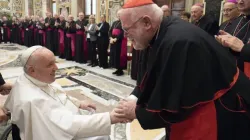 Le cardinal Reinhard Marx et d'autres évêques allemands rencontrent le pape François au Vatican, le 17 novembre 2022 | Vatican Media / 
