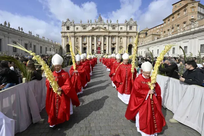 Le dimanche des Rameaux, des centaines de prêtres, d'évêques, de cardinaux et de laïcs ont porté solennellement de grandes branches de palmier en procession sur la place Saint-Pierre. | Vatican Media