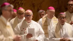 Les évêques allemands à Rome le 17 novembre 2022. / 