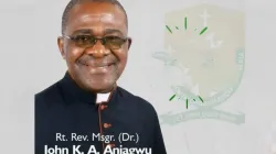 Mgr John Aniagwu / 