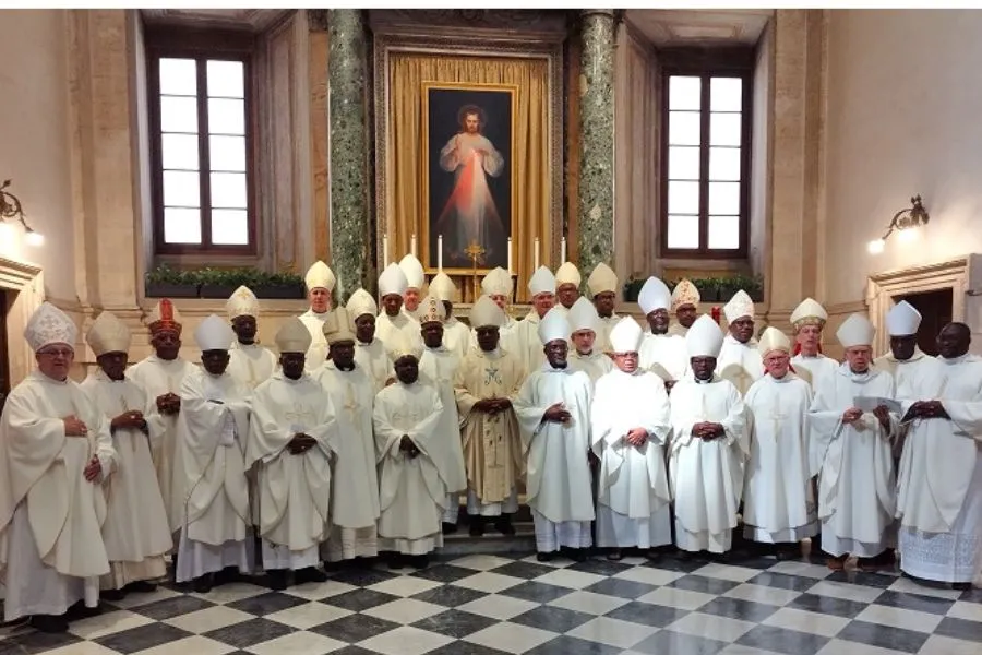 Les membres de la Conférence des évêques catholiques d'Afrique australe (SACBC). Crédit : SACBC / 
