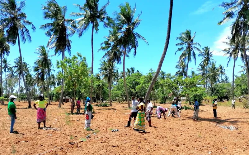 Les paroissiens de la mission catholique St Michael à Kilifi, dans le diocèse catholique de Malindi, lors du lancement des activités de plantation d'arbres dans le diocèse, le 13 avril 2021.