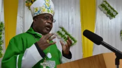 Mgr Montfort Stima, évêque du diocèse de Mangochi au Malawi. Crédit : AMECEA / 
