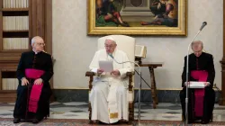 Le pape François s'exprime lors d'une audience générale dans la bibliothèque du Palais Apostolique. / Vatican Media.