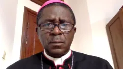 Capture d'écran de l'archevêque Andrew Fuanya Nkea de l'archidiocèse de Bamenda au Cameroun lors du webinaire du 15 novembre 2023. / 