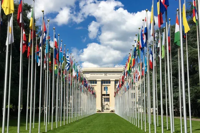 Le Palais des Nations à Genève, en Suisse, qui abrite la salle de réunion du Conseil des droits de l'homme de l'ONU. | Groov3 via Wikimedia (CC0 1.0).