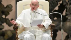 Le Pape François lors de l'audience générale du mercredi 28 octobre 2020. / Vatican News