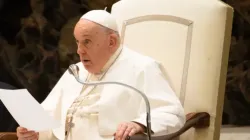 Le pape François s'exprime lors de l'audience du mercredi dans la salle Paul VI, le 29 novembre 2023. | Elizabeth Alva/EWTN / 