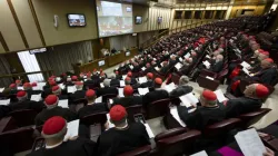 Le consistoire extraordinaire des cardinaux se réunit dans la salle du Synode du Vatican, le 29 août 2022. | Crédit : Vatican Media / 
