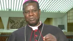 Mgr Samuel Kleda, archevêque de Douala nommé au Dicastère pour la promotion du développement humain intégral en tant que membre par le pape François le 11 janvier 2021. / Domaine public