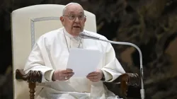 Le pape François délivre un message lors de l'audience générale du mercredi 17 janvier 2024, dans la salle d'audience Paul VI au Vatican. | Crédit : Vatican Media / 