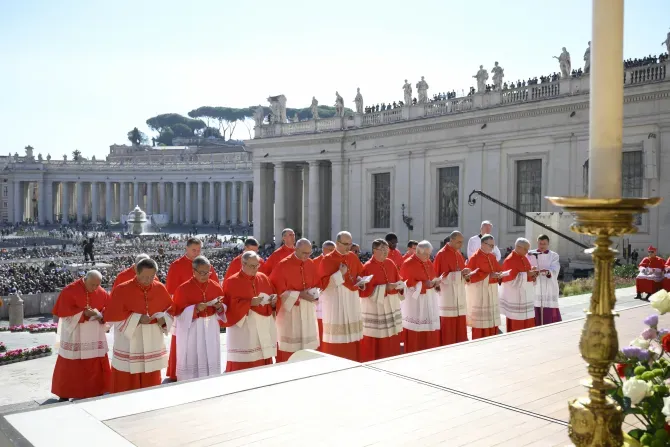 Le pape François a créé 21 nouveaux cardinaux pour l'Église catholique le samedi 30 septembre 2023. Ces hommes, dont l'âge varie entre 49 et 96 ans, viennent de 15 pays différents et de cinq continents. | Vatican Media