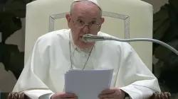 L'audience générale du Pape François dans la salle Paul VI au Vatican, le 12 janvier 2021. Capture d'écran de la chaîne YouTube Vatican News. / 