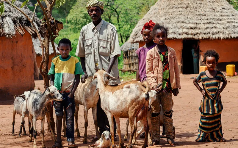 En 2011, l'Éthiopie a connu sa pire sécheresse depuis 50 ans. Des millions de têtes de bétail ont péri dans tout le pays, dont beaucoup n'ont pas pu trouver de nourriture ou d'eau dans le paysage blanchi de la zone de Borana, la région la plus méridionale de l'Éthiopie soumise à un stress hydrique. Crédit : Trócaire