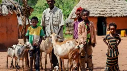 En 2011, l'Éthiopie a connu sa pire sécheresse depuis 50 ans. Des millions de têtes de bétail ont péri dans tout le pays, dont beaucoup n'ont pas pu trouver de nourriture ou d'eau dans le paysage blanchi de la zone de Borana, la région la plus méridionale de l'Éthiopie soumise à un stress hydrique. Crédit : Trócaire / 