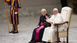 Le pape François donne son message lors de l'audience générale hebdomadaire dans la salle Paul VI du Vatican, le 4 janvier 2023 | Daniel Ibanez/CNA / 