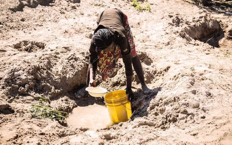 La sécheresse prolongée en Zambie a provoqué une crise alimentaire. Caritas Zambie
