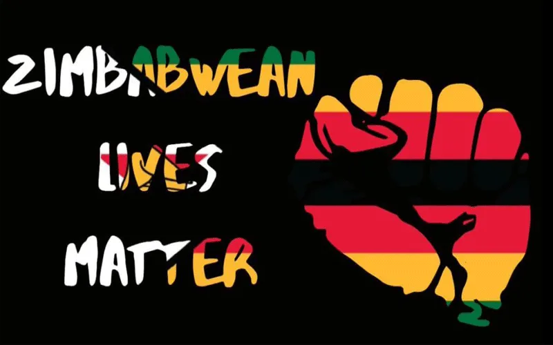 Campagne en ligne ZimbabweanLivesMatter. Domaine public